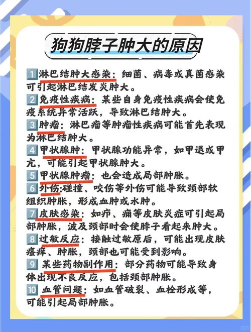 狗狗颈椎病的症状,狗狗颈椎病吃什么药效果比较好?-第2张图片-后鲨宠物 狗狗颈椎病的症状,狗狗颈椎病吃什么药效果比较好?-第2张图片-后鲨宠物