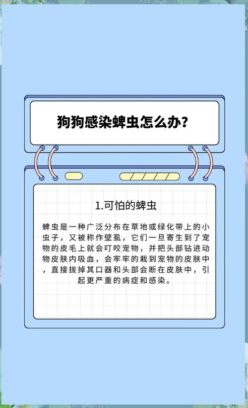 狗狗身上有蜱虫怎么处理,狗狗身上有蜱虫是什么症状?-第6张图片-后鲨宠物 狗狗身上有蜱虫怎么处理,狗狗身上有蜱虫是什么症状?-第6张图片-后鲨宠物