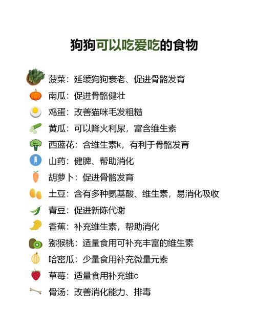 狗狗不好好吃饭怎么办_狗狗不好好吃食-第1张图片-后鲨宠物 狗狗不好好吃饭怎么办_狗狗不好好吃食-第1张图片-后鲨宠物