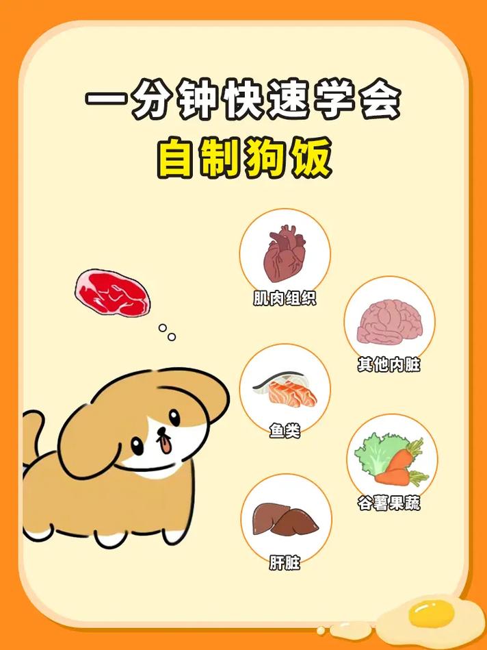 狗狗不好好吃饭怎么办_狗狗不好好吃食-第3张图片-后鲨宠物 狗狗不好好吃饭怎么办_狗狗不好好吃食-第3张图片-后鲨宠物