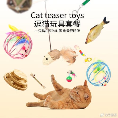 猫咪的玩具有哪些_猫咪的玩具有哪些品牌-第1张图片-后鲨宠物 猫咪的玩具有哪些_猫咪的玩具有哪些品牌-第1张图片-后鲨宠物