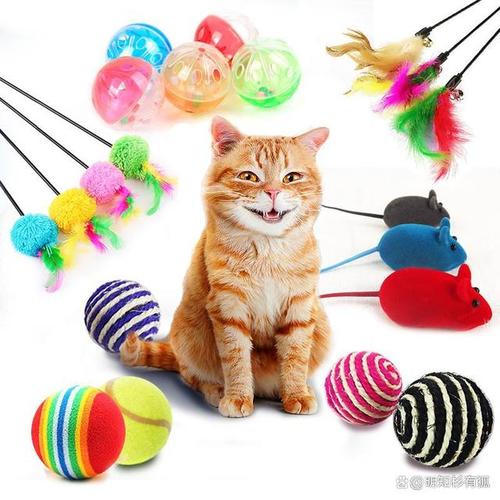 猫咪的玩具有哪些_猫咪的玩具有哪些品牌-第3张图片-后鲨宠物 猫咪的玩具有哪些_猫咪的玩具有哪些品牌-第3张图片-后鲨宠物