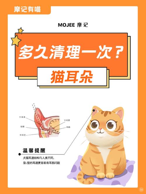 猫咪耳朵多久清理一次,正常猫咪耳朵应该多长时间清洗一次?-第2张图片-后鲨宠物 猫咪耳朵多久清理一次,正常猫咪耳朵应该多长时间清洗一次?-第2张图片-后鲨宠物