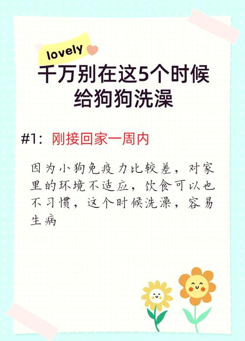 狗狗怀孕了可以洗澡吗,狗狗怀孕了能不能洗澡-第2张图片-后鲨宠物 狗狗怀孕了可以洗澡吗,狗狗怀孕了能不能洗澡-第2张图片-后鲨宠物