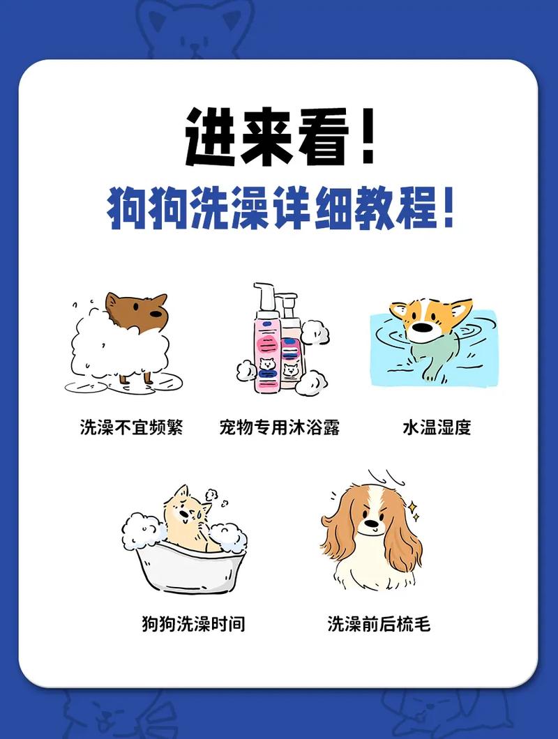 狗狗怀孕了可以洗澡吗,狗狗怀孕了能不能洗澡-第5张图片-后鲨宠物 狗狗怀孕了可以洗澡吗,狗狗怀孕了能不能洗澡-第5张图片-后鲨宠物