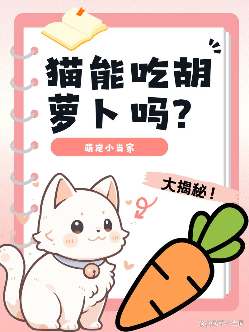 猫咪可以吃胡萝卜吗_猫咪可以吃胡萝卜吗生的-第1张图片-后鲨宠物 猫咪可以吃胡萝卜吗_猫咪可以吃胡萝卜吗生的-第1张图片-后鲨宠物