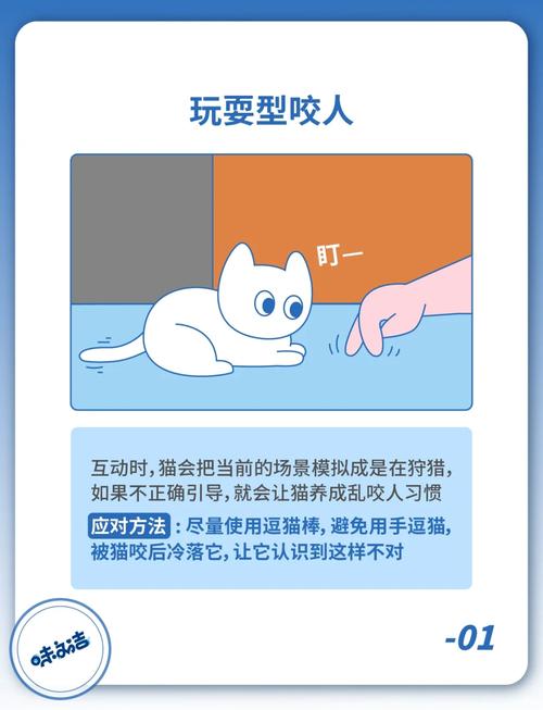 猫咪轻咬主人的原因，猫咪轻咬主人的原因有哪些？-第6张图片-后鲨宠物