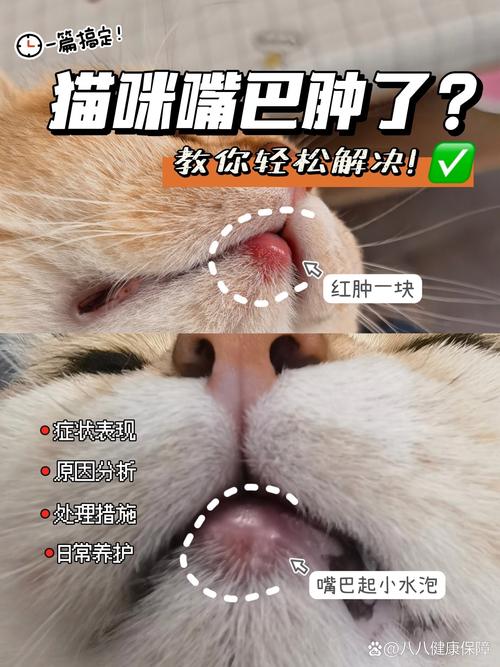 猫咪肉芽肿治疗要多少钱,猫肉芽肿能自愈吗?-第2张图片-后鲨宠物 猫咪肉芽肿治疗要多少钱,猫肉芽肿能自愈吗?-第2张图片-后鲨宠物