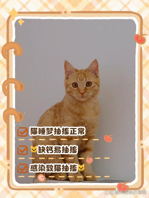 猫咪睡觉时抽搐_猫咪睡觉时抽搐一下-第2张图片-后鲨宠物 猫咪睡觉时抽搐_猫咪睡觉时抽搐一下-第2张图片-后鲨宠物