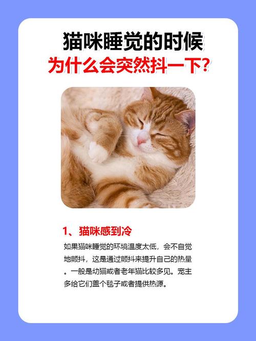 猫咪睡觉时抽搐_猫咪睡觉时抽搐一下-第4张图片-后鲨宠物 猫咪睡觉时抽搐_猫咪睡觉时抽搐一下-第4张图片-后鲨宠物