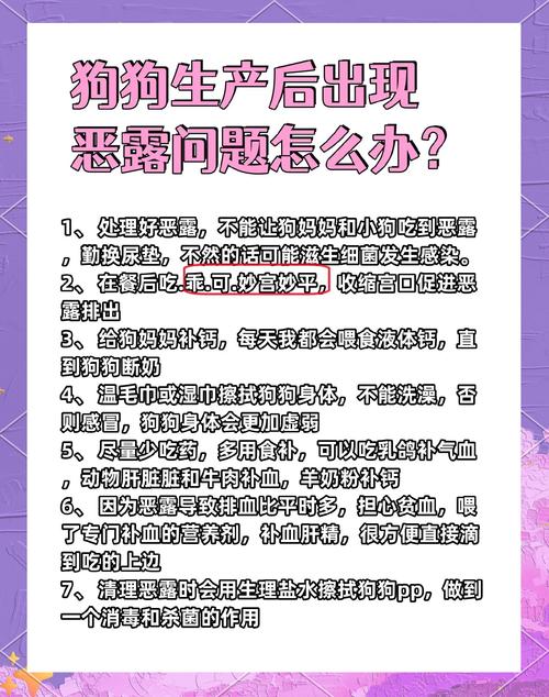 狗狗恶露不尽怎么办,狗狗恶露不尽怎么办小妙招-第2张图片-后鲨宠物 狗狗恶露不尽怎么办,狗狗恶露不尽怎么办小妙招-第2张图片-后鲨宠物