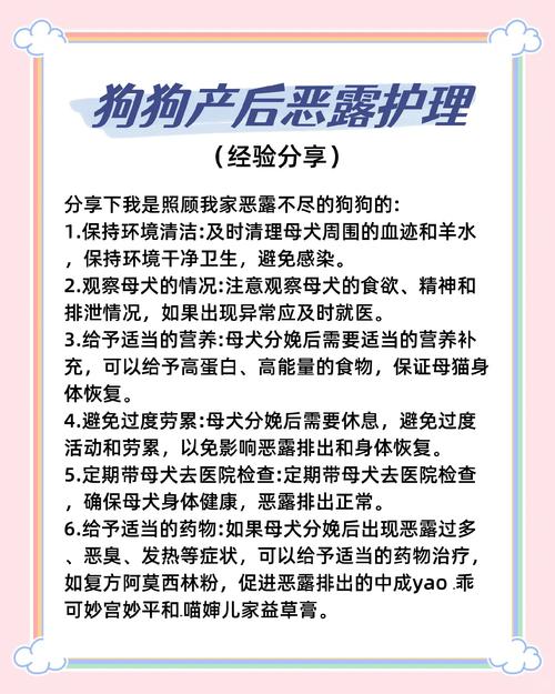狗狗恶露不尽怎么办,狗狗恶露不尽怎么办小妙招-第3张图片-后鲨宠物 狗狗恶露不尽怎么办,狗狗恶露不尽怎么办小妙招-第3张图片-后鲨宠物