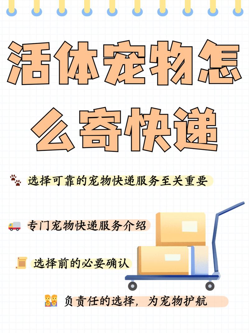 猫咪可以寄快递吗_猫咪可以快递寄回老家吗-第6张图片-后鲨宠物 猫咪可以寄快递吗_猫咪可以快递寄回老家吗-第6张图片-后鲨宠物