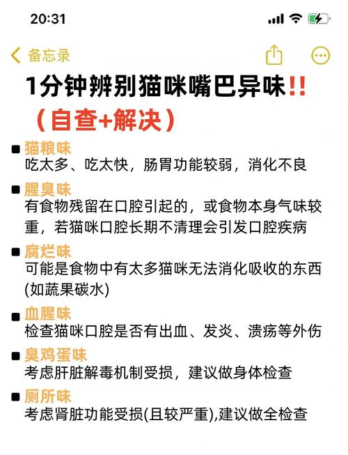 猫咪嘴臭是怎么回事_猫咪嘴臭是怎么回事吃什么药-第2张图片-后鲨宠物 猫咪嘴臭是怎么回事_猫咪嘴臭是怎么回事吃什么药-第2张图片-后鲨宠物