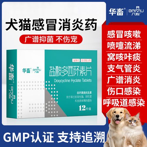 小猫咪感冒了怎么办_小猫咪感冒了怎么办吃什么药-第4张图片-后鲨宠物 小猫咪感冒了怎么办_小猫咪感冒了怎么办吃什么药-第4张图片-后鲨宠物