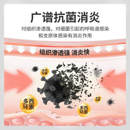 小猫咪感冒了怎么办_小猫咪感冒了怎么办吃什么药-第5张图片-后鲨宠物 小猫咪感冒了怎么办_小猫咪感冒了怎么办吃什么药-第5张图片-后鲨宠物