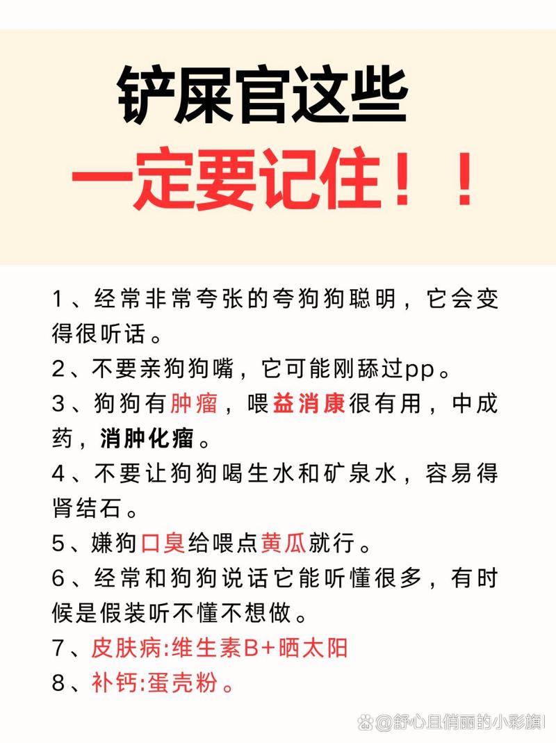 狗狗很依赖主人的表现_狗狗过于依赖主人的表现-第2张图片-后鲨宠物 狗狗很依赖主人的表现_狗狗过于依赖主人的表现-第2张图片-后鲨宠物