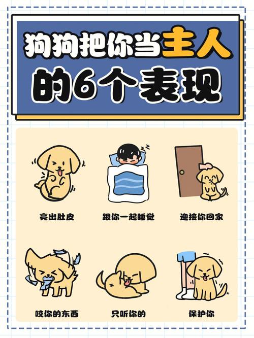 狗狗很依赖主人的表现_狗狗过于依赖主人的表现-第6张图片-后鲨宠物 狗狗很依赖主人的表现_狗狗过于依赖主人的表现-第6张图片-后鲨宠物