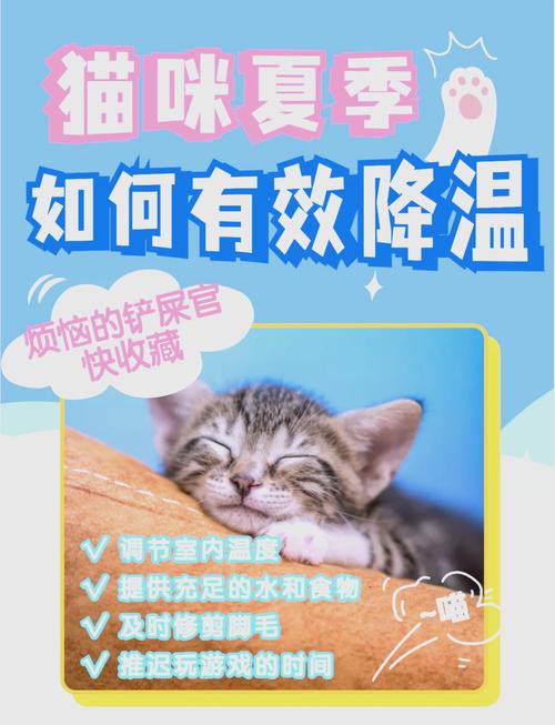 猫猫发烧了怎么办,猫猫发烧怎么办快速退烧-第5张图片-后鲨宠物 猫猫发烧了怎么办,猫猫发烧怎么办快速退烧-第5张图片-后鲨宠物
