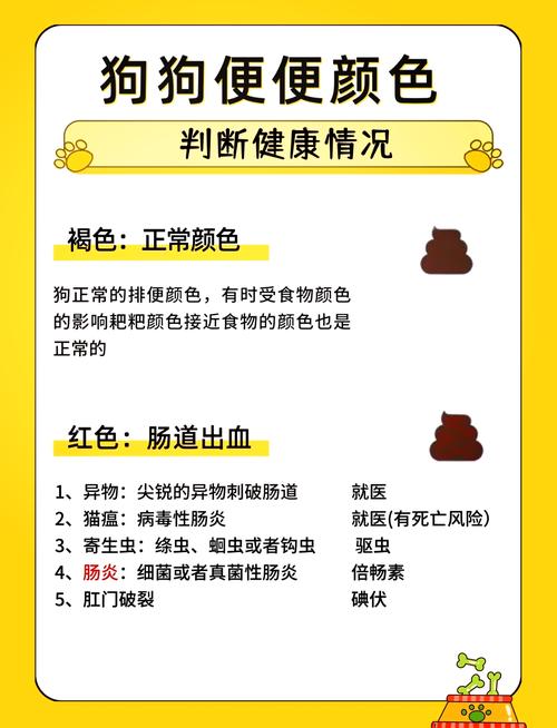 狗狗能吃黄连素吗,狗狗可以吃黄连素吗??-第2张图片-后鲨宠物 狗狗能吃黄连素吗,狗狗可以吃黄连素吗??-第2张图片-后鲨宠物