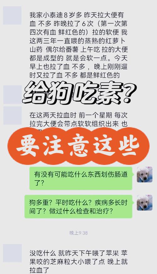 狗狗能吃黄连素吗,狗狗可以吃黄连素吗??-第4张图片-后鲨宠物 狗狗能吃黄连素吗,狗狗可以吃黄连素吗??-第4张图片-后鲨宠物