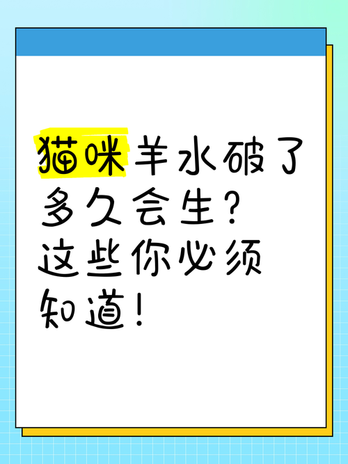 猫咪羊水破了多久生产_猫咪羊水破了多久生产正常-第3张图片-后鲨宠物 猫咪羊水破了多久生产_猫咪羊水破了多久生产正常-第3张图片-后鲨宠物