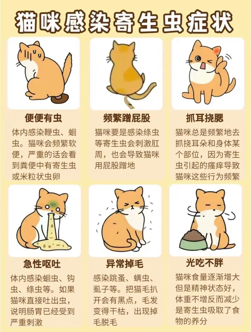 猫咪寄生虫症状,猫咪寄生虫症状及治疗?-第2张图片-后鲨宠物 猫咪寄生虫症状,猫咪寄生虫症状及治疗?-第2张图片-后鲨宠物