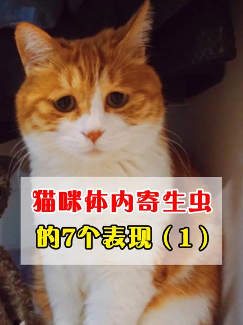 猫咪寄生虫症状,猫咪寄生虫症状及治疗?-第3张图片-后鲨宠物 猫咪寄生虫症状,猫咪寄生虫症状及治疗?-第3张图片-后鲨宠物