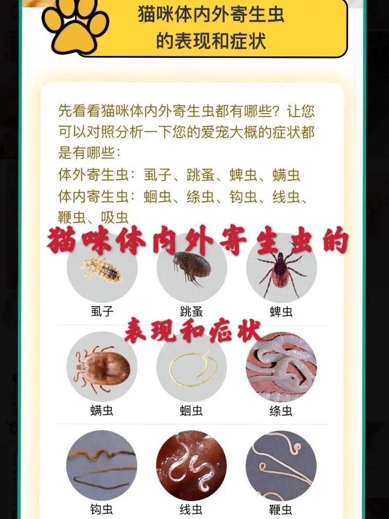 猫咪寄生虫症状,猫咪寄生虫症状及治疗?-第4张图片-后鲨宠物 猫咪寄生虫症状,猫咪寄生虫症状及治疗?-第4张图片-后鲨宠物