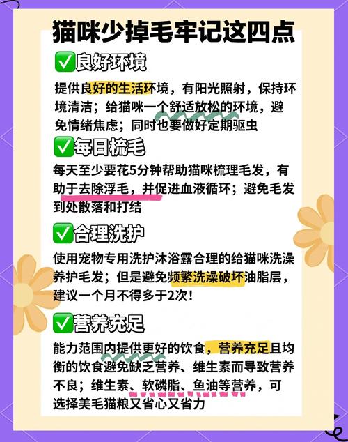 猫咪几个月开始吃化毛膏,猫几个月开始吃化毛膏营养膏-第5张图片-后鲨宠物 猫咪几个月开始吃化毛膏,猫几个月开始吃化毛膏营养膏-第5张图片-后鲨宠物