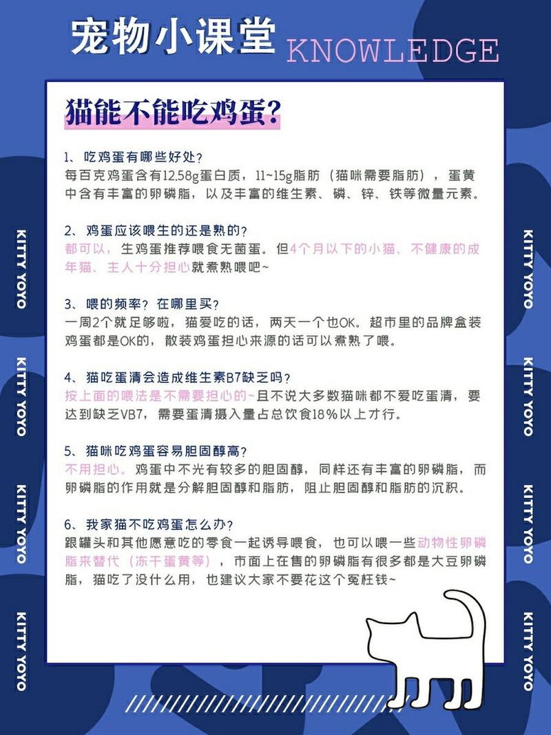 猫猫吃鸡蛋吗_猫咪吃鸡蛋能补充营养吗-第2张图片-后鲨宠物 猫猫吃鸡蛋吗_猫咪吃鸡蛋能补充营养吗-第2张图片-后鲨宠物