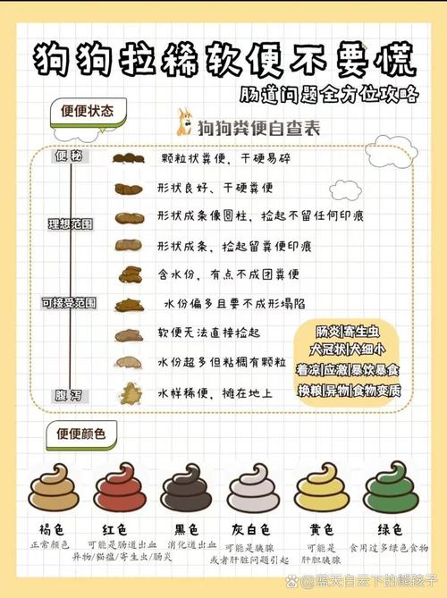 狗狗拉稀要禁食禁水吗,狗狗拉稀是否要禁食-第3张图片-后鲨宠物 狗狗拉稀要禁食禁水吗,狗狗拉稀是否要禁食-第3张图片-后鲨宠物