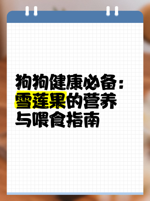 狗狗可以吃雪莲果吗,狗狗可以吃雪莲果吗?-第4张图片-后鲨宠物 狗狗可以吃雪莲果吗,狗狗可以吃雪莲果吗?-第4张图片-后鲨宠物