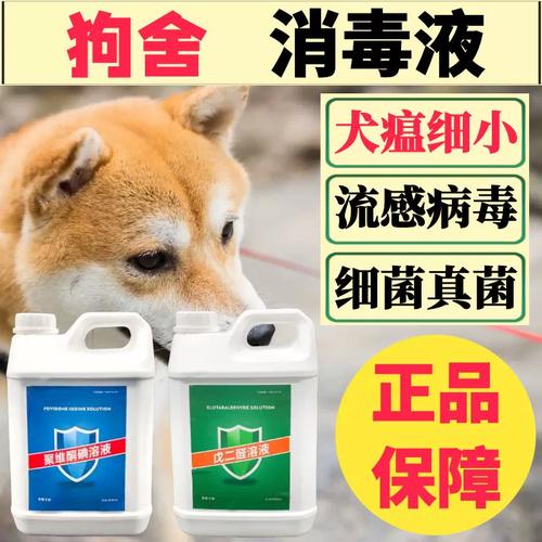 家里有狗狗用什么消毒_家里养宠物狗用什么消毒好-第5张图片-后鲨宠物 家里有狗狗用什么消毒_家里养宠物狗用什么消毒好-第5张图片-后鲨宠物