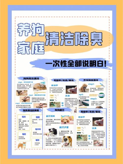 家里有狗狗用什么消毒_家里养宠物狗用什么消毒好-第6张图片-后鲨宠物 家里有狗狗用什么消毒_家里养宠物狗用什么消毒好-第6张图片-后鲨宠物