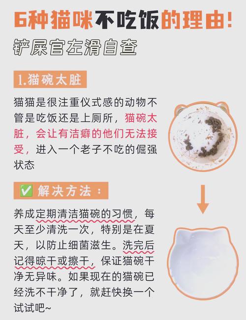 猫咪为什么一直睡觉,猫咪一直睡觉没精神是为什么-第1张图片-后鲨宠物 猫咪为什么一直睡觉,猫咪一直睡觉没精神是为什么-第1张图片-后鲨宠物