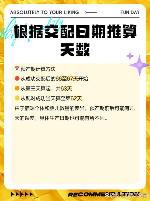 猫咪预产期怎么算,猫的预产期从哪天开始算?-第2张图片-后鲨宠物 猫咪预产期怎么算,猫的预产期从哪天开始算?-第2张图片-后鲨宠物