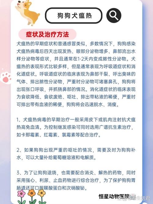 狗狗犬瘟咳嗽怎么办_狗狗犬瘟咳嗽怎么办啊-第5张图片-后鲨宠物 狗狗犬瘟咳嗽怎么办_狗狗犬瘟咳嗽怎么办啊-第5张图片-后鲨宠物