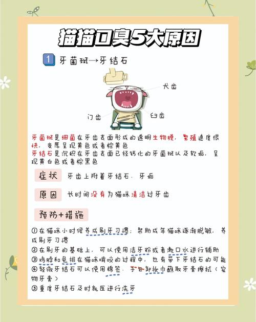 猫咪为什么会有口臭_猫咪为什么会有口臭的原因-第1张图片-后鲨宠物 猫咪为什么会有口臭_猫咪为什么会有口臭的原因-第1张图片-后鲨宠物