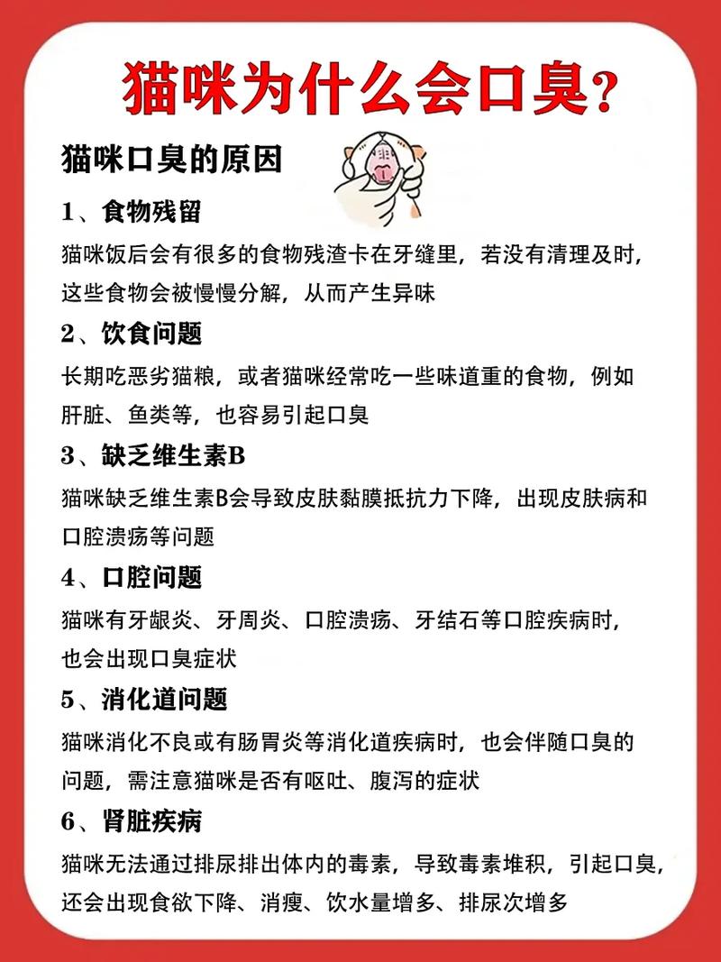猫咪为什么会有口臭_猫咪为什么会有口臭的原因-第5张图片-后鲨宠物 猫咪为什么会有口臭_猫咪为什么会有口臭的原因-第5张图片-后鲨宠物