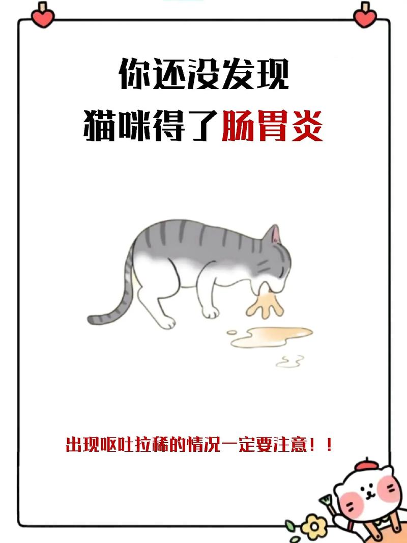 猫咪胃炎的症状表现_猫胃炎的治疗方法-第3张图片-后鲨宠物 猫咪胃炎的症状表现_猫胃炎的治疗方法-第3张图片-后鲨宠物