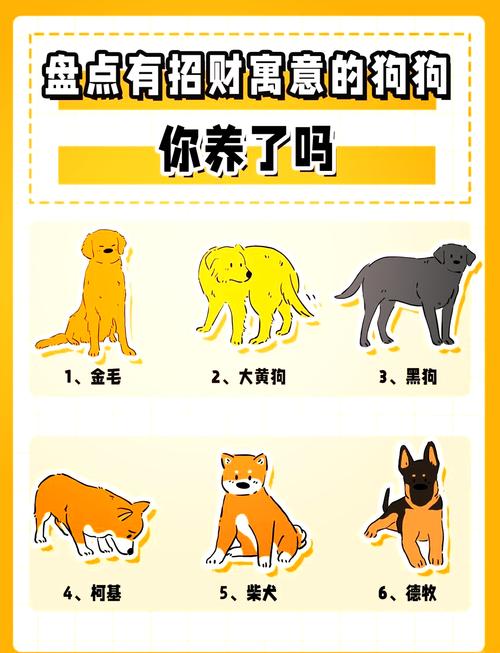 适合黑色狗狗的名字,适合黑色狗狗的名字有哪些女?-第3张图片-后鲨宠物 适合黑色狗狗的名字,适合黑色狗狗的名字有哪些女?-第3张图片-后鲨宠物