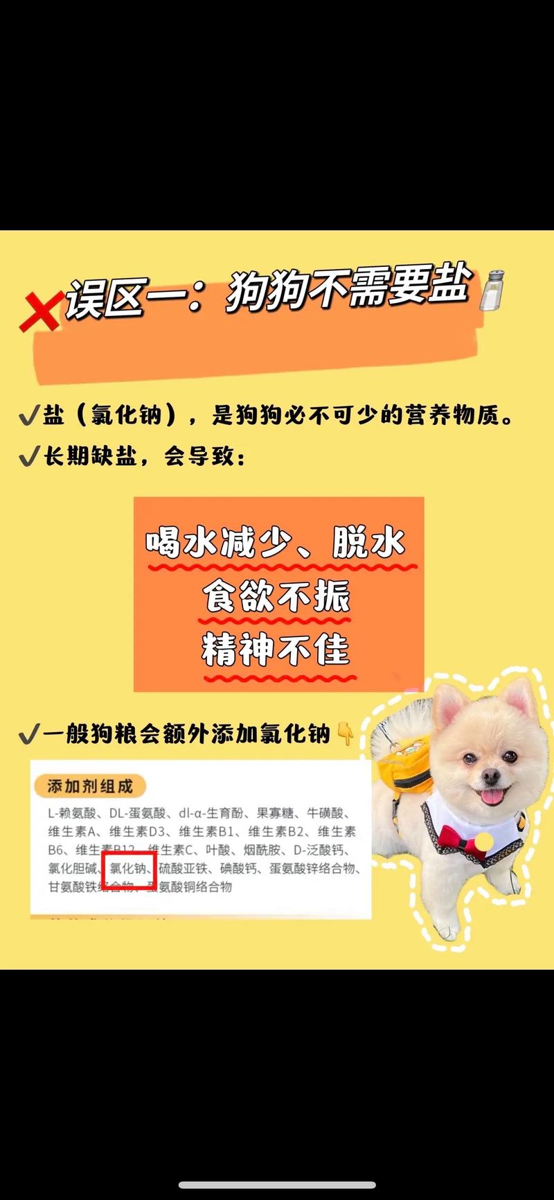 狗狗吃咸了怎么补救_狗狗吃咸了怎么补救小妙招-第4张图片-后鲨宠物 狗狗吃咸了怎么补救_狗狗吃咸了怎么补救小妙招-第4张图片-后鲨宠物