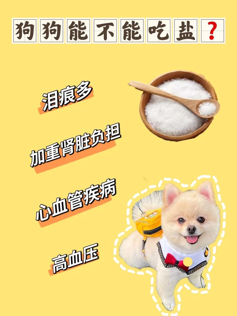 狗狗吃咸了怎么补救_狗狗吃咸了怎么补救小妙招-第5张图片-后鲨宠物 狗狗吃咸了怎么补救_狗狗吃咸了怎么补救小妙招-第5张图片-后鲨宠物