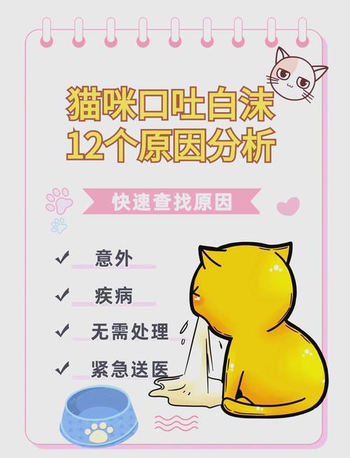 猫咪抽搐口吐白沫_猫咪抽搐口吐白沫是怎么回事-第1张图片-后鲨宠物 猫咪抽搐口吐白沫_猫咪抽搐口吐白沫是怎么回事-第1张图片-后鲨宠物