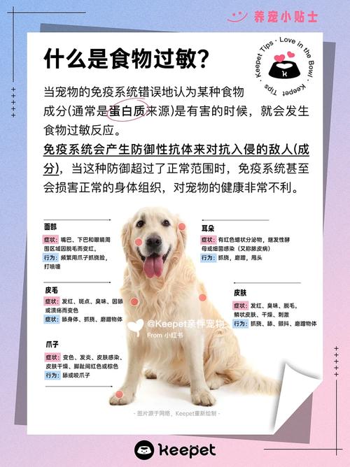 狗狗吃三文鱼会过敏吗_狗狗吃三文鱼过敏症状-第3张图片-后鲨宠物 狗狗吃三文鱼会过敏吗_狗狗吃三文鱼过敏症状-第3张图片-后鲨宠物