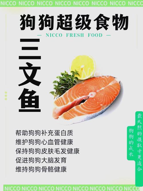 狗狗吃三文鱼会过敏吗_狗狗吃三文鱼过敏症状-第5张图片-后鲨宠物 狗狗吃三文鱼会过敏吗_狗狗吃三文鱼过敏症状-第5张图片-后鲨宠物