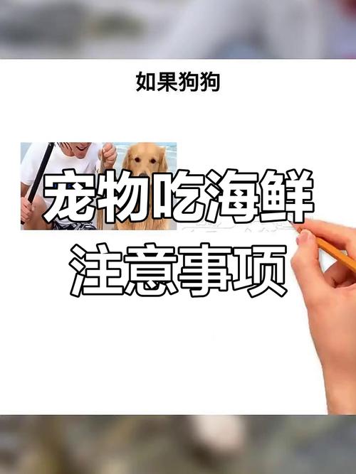 狗狗吃三文鱼会过敏吗_狗狗吃三文鱼过敏症状-第6张图片-后鲨宠物 狗狗吃三文鱼会过敏吗_狗狗吃三文鱼过敏症状-第6张图片-后鲨宠物