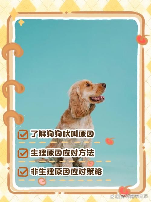 怎么可以让狗狗不叫_有什么方法可以让狗狗不叫-第1张图片-后鲨宠物 怎么可以让狗狗不叫_有什么方法可以让狗狗不叫-第1张图片-后鲨宠物