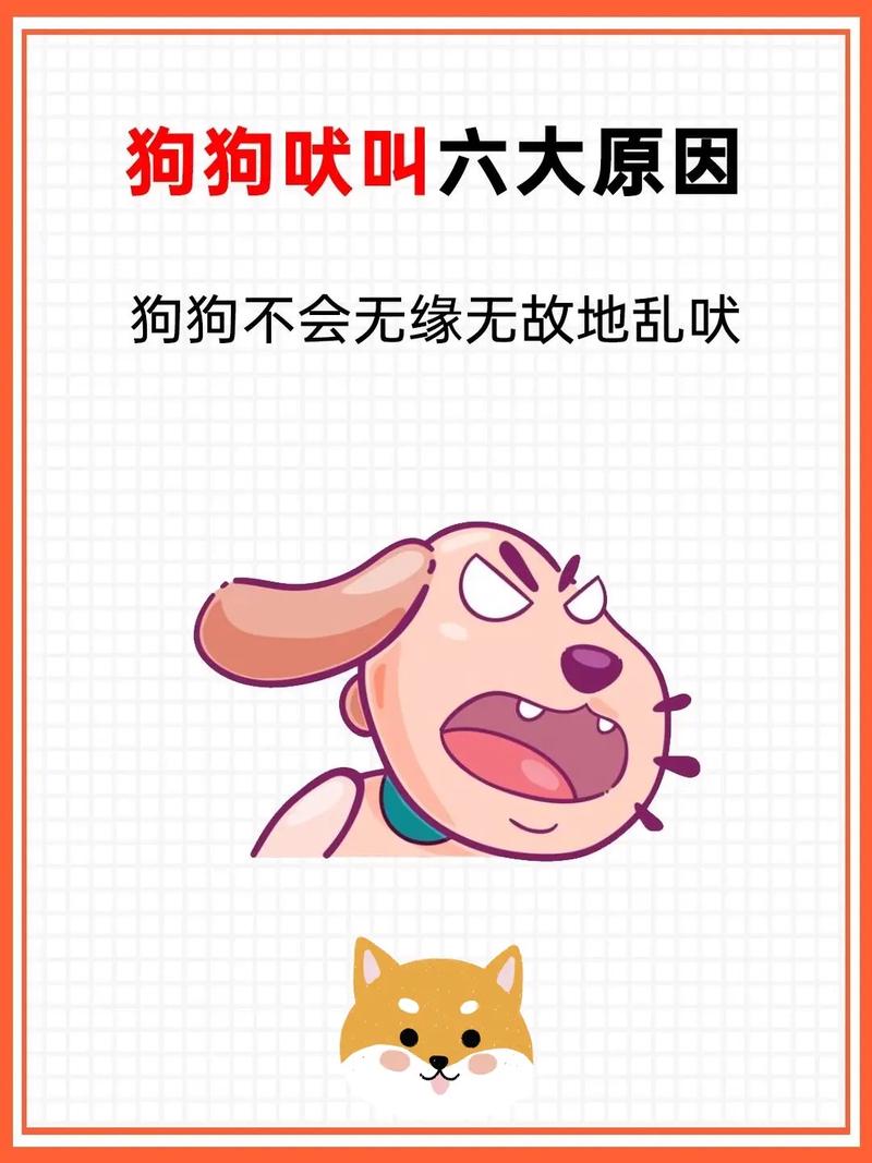 怎么可以让狗狗不叫_有什么方法可以让狗狗不叫-第5张图片-后鲨宠物 怎么可以让狗狗不叫_有什么方法可以让狗狗不叫-第5张图片-后鲨宠物